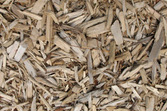 biomass boilers Treginnis