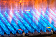 Treginnis gas fired boilers